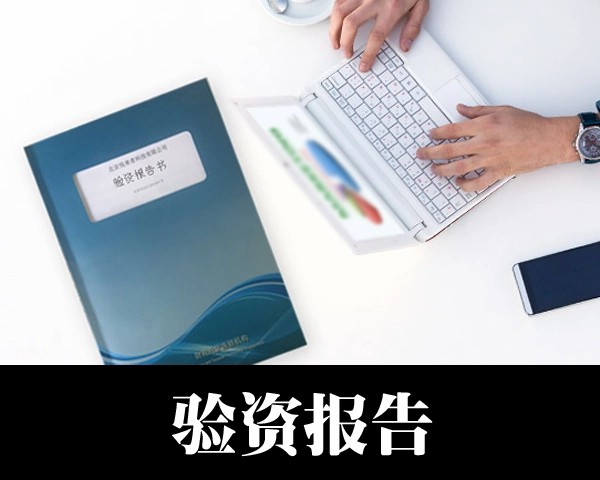 验资报告